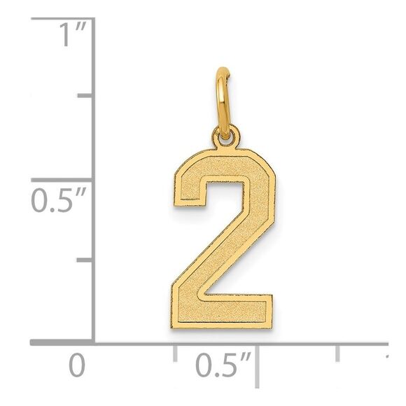 14k Yellow Gold, Jersey Collection, Medium Number 2 Pendant - Picture 4 of 5